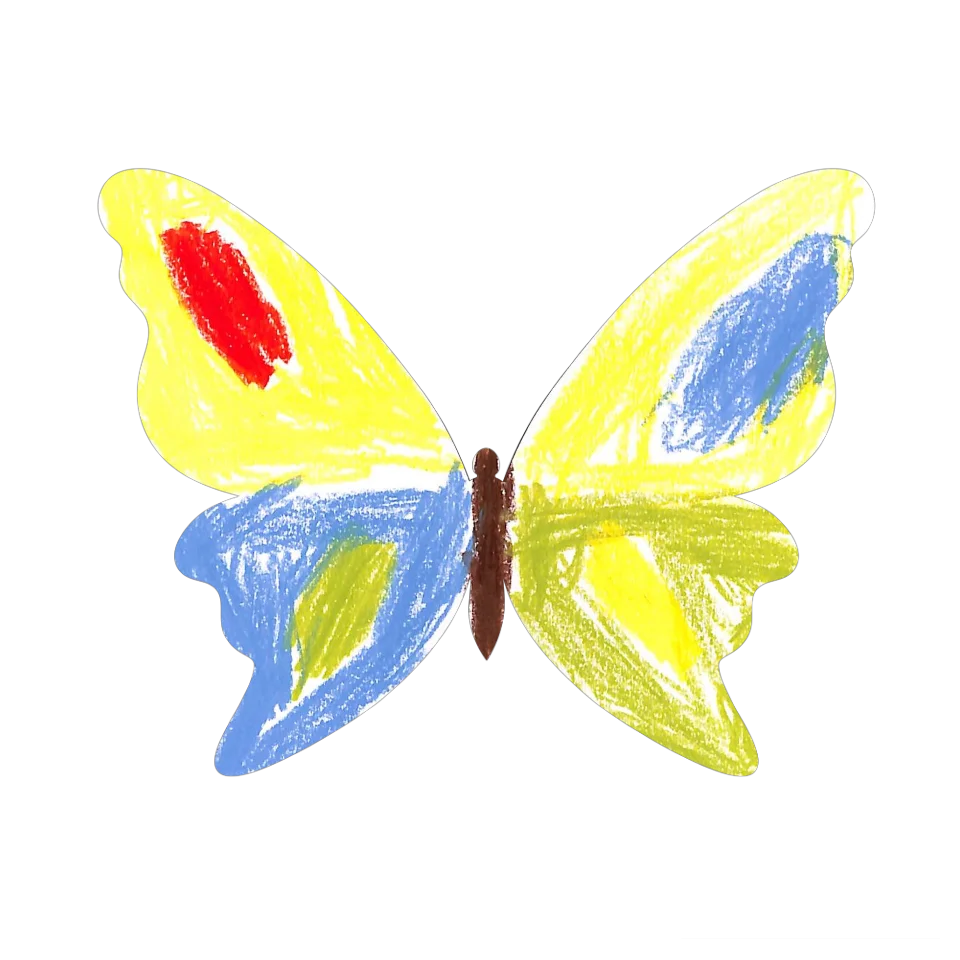 Original Butterfly Image