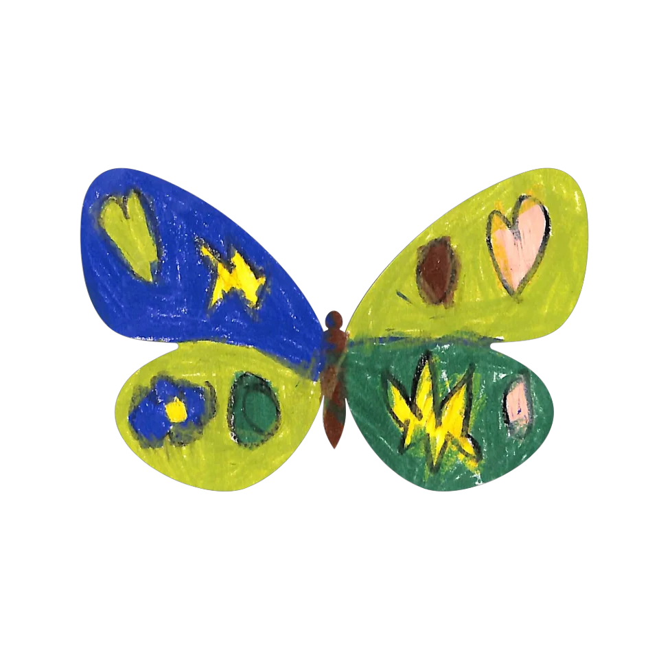 Original Butterfly Image