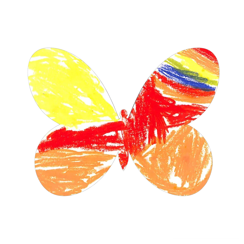 Original Butterfly Image
