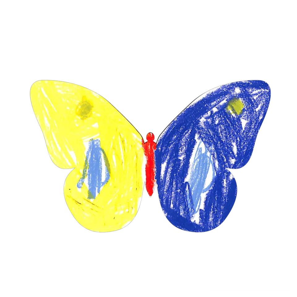 Original Butterfly Image