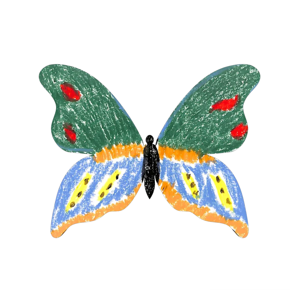 Original Butterfly Image