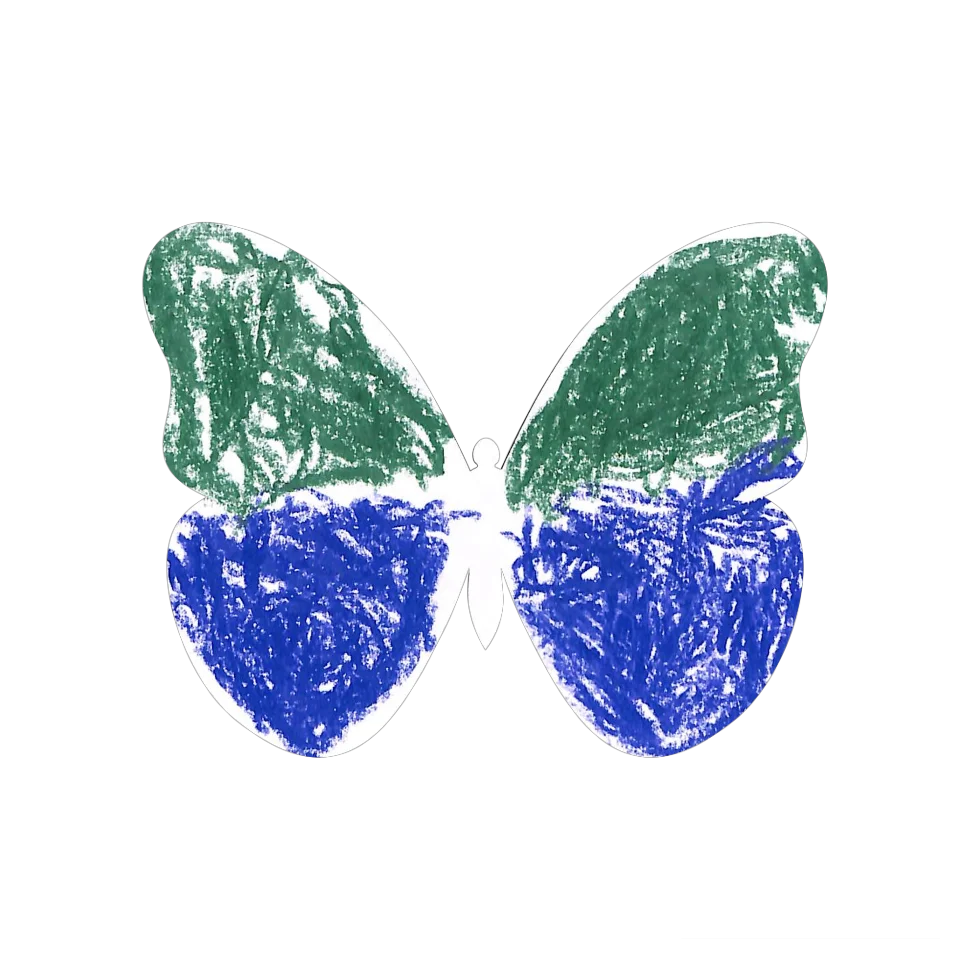 Original Butterfly Image