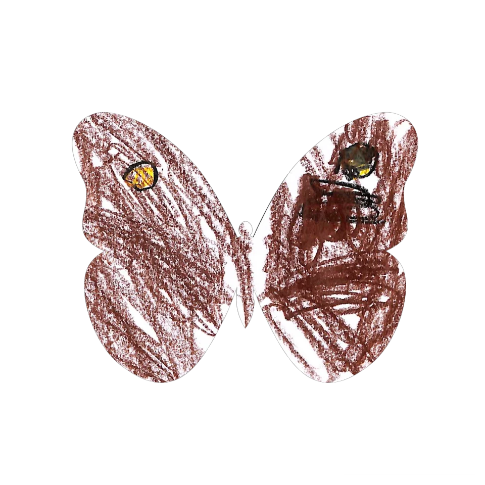 Original Butterfly Image