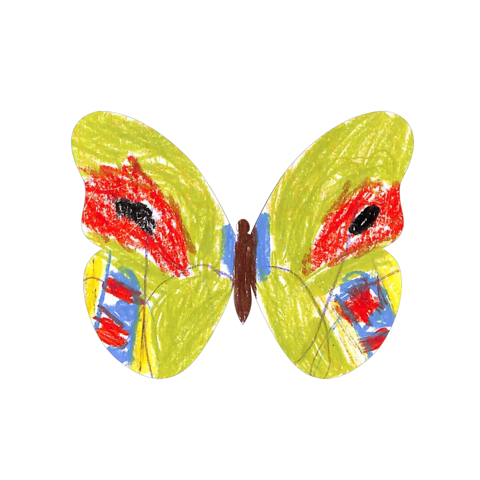 Original Butterfly Image