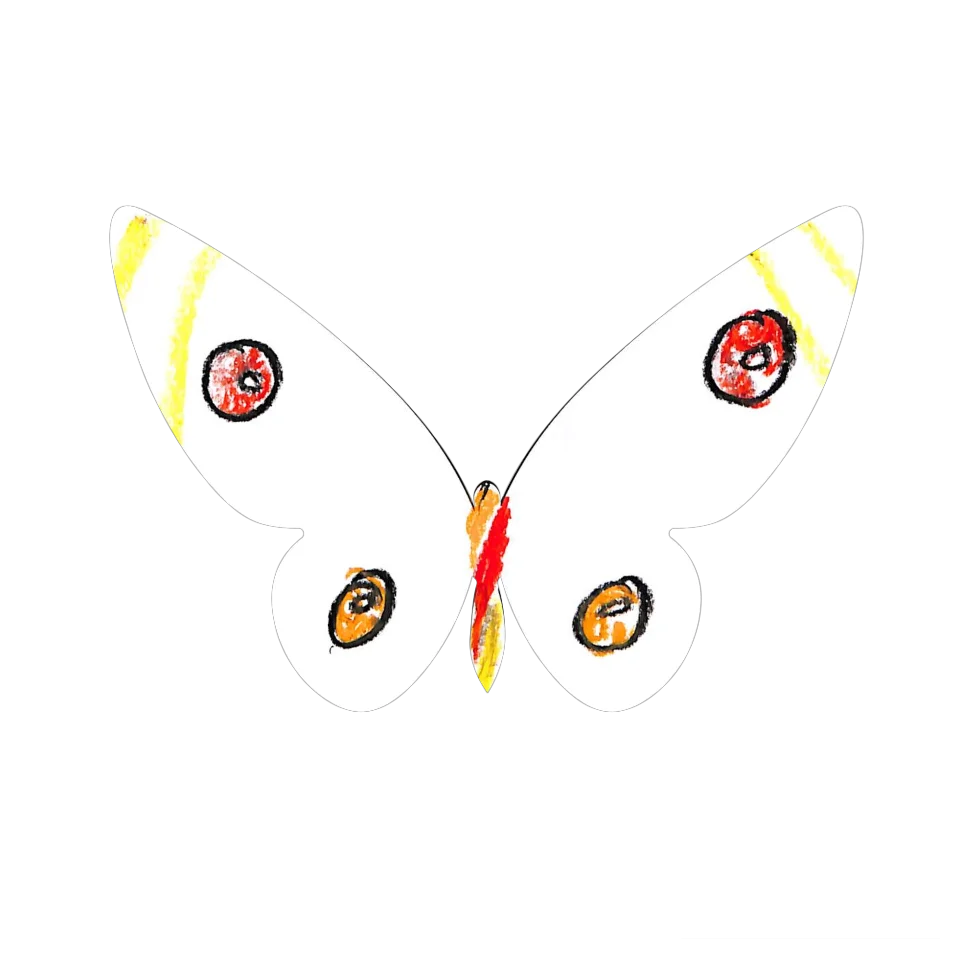 Original Butterfly Image
