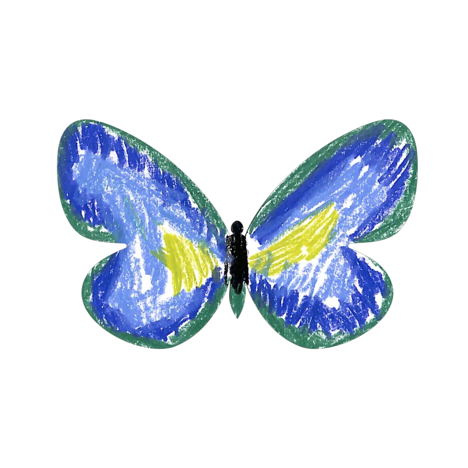 Original Butterfly Image
