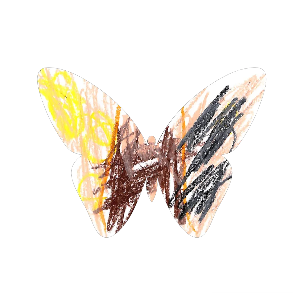 Original Butterfly Image