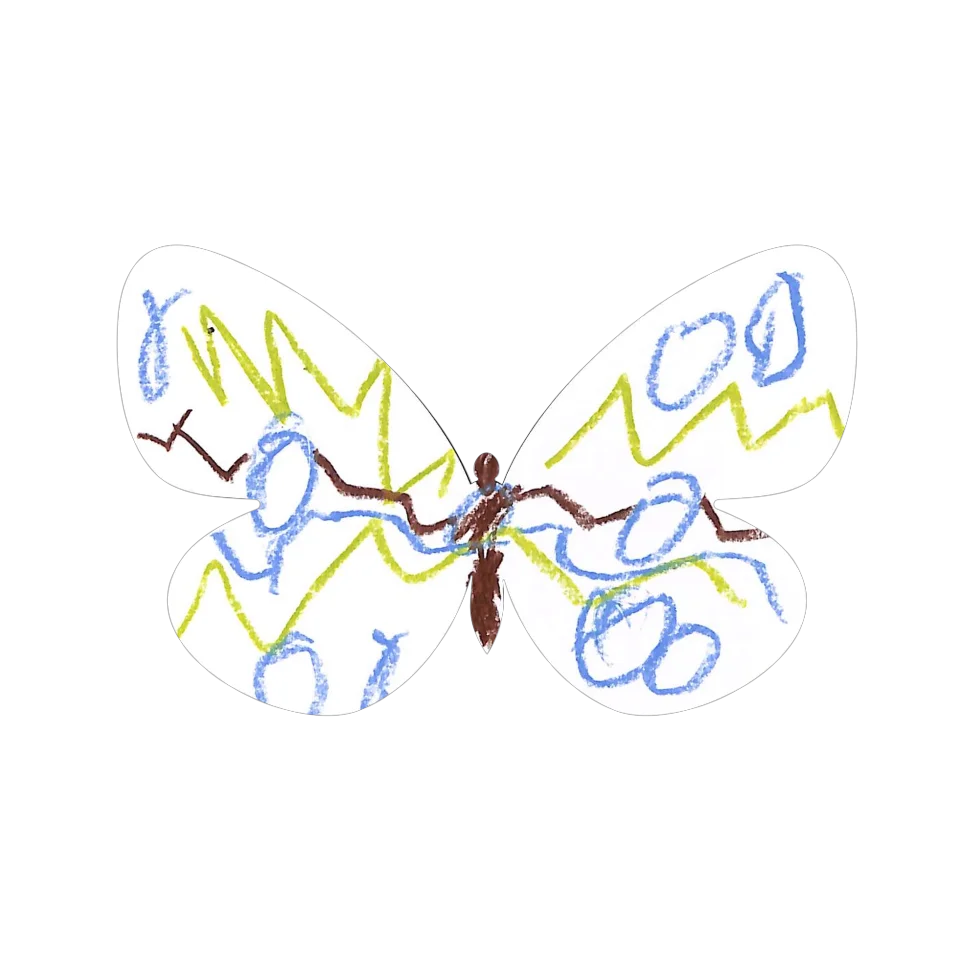 Original Butterfly Image