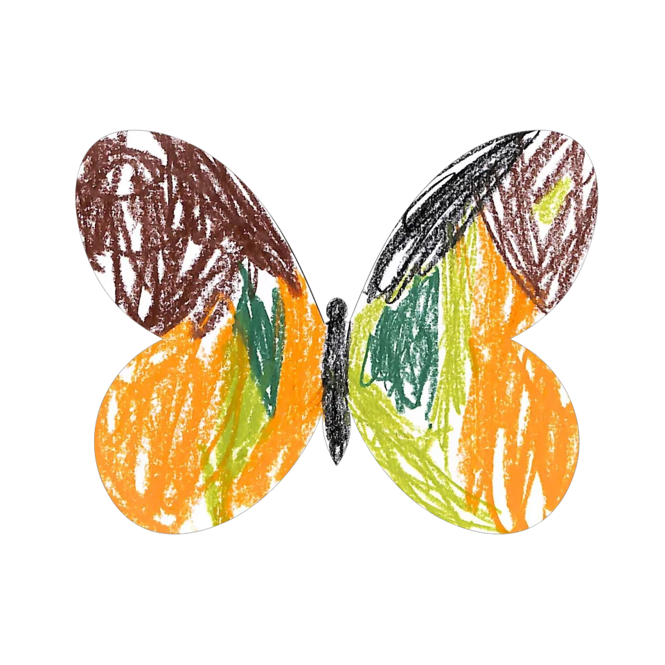 Original Butterfly Image