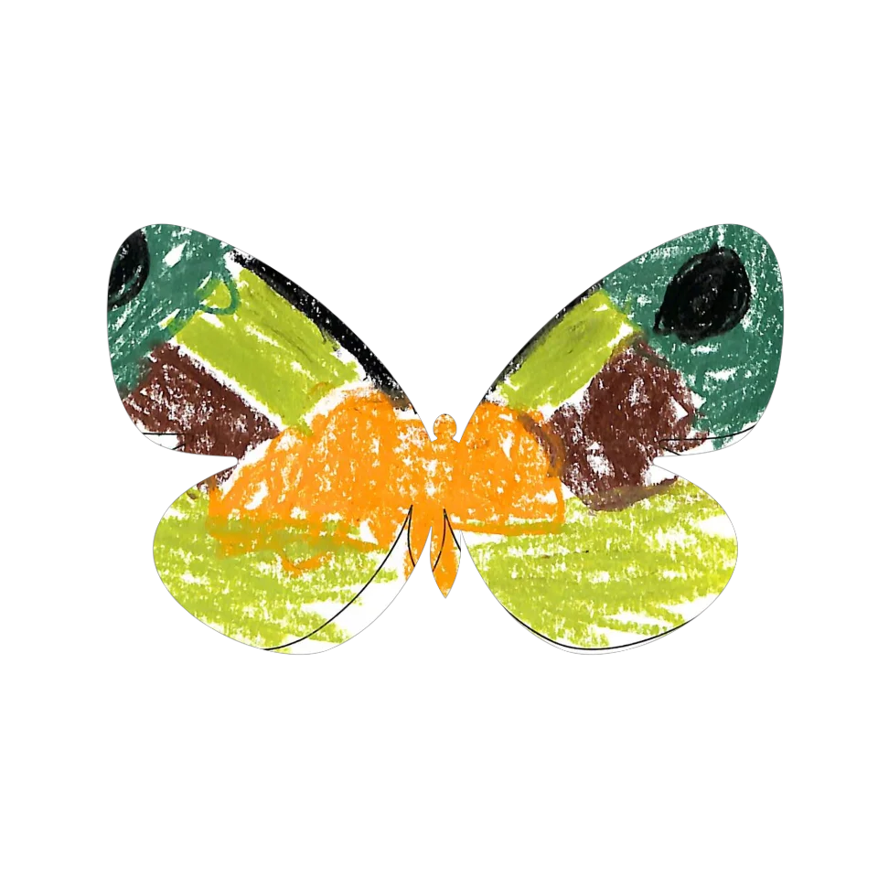 Original Butterfly Image