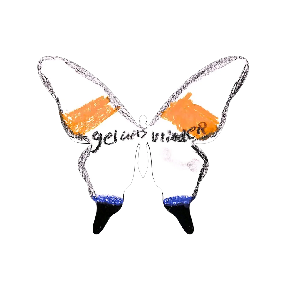 Original Butterfly Image