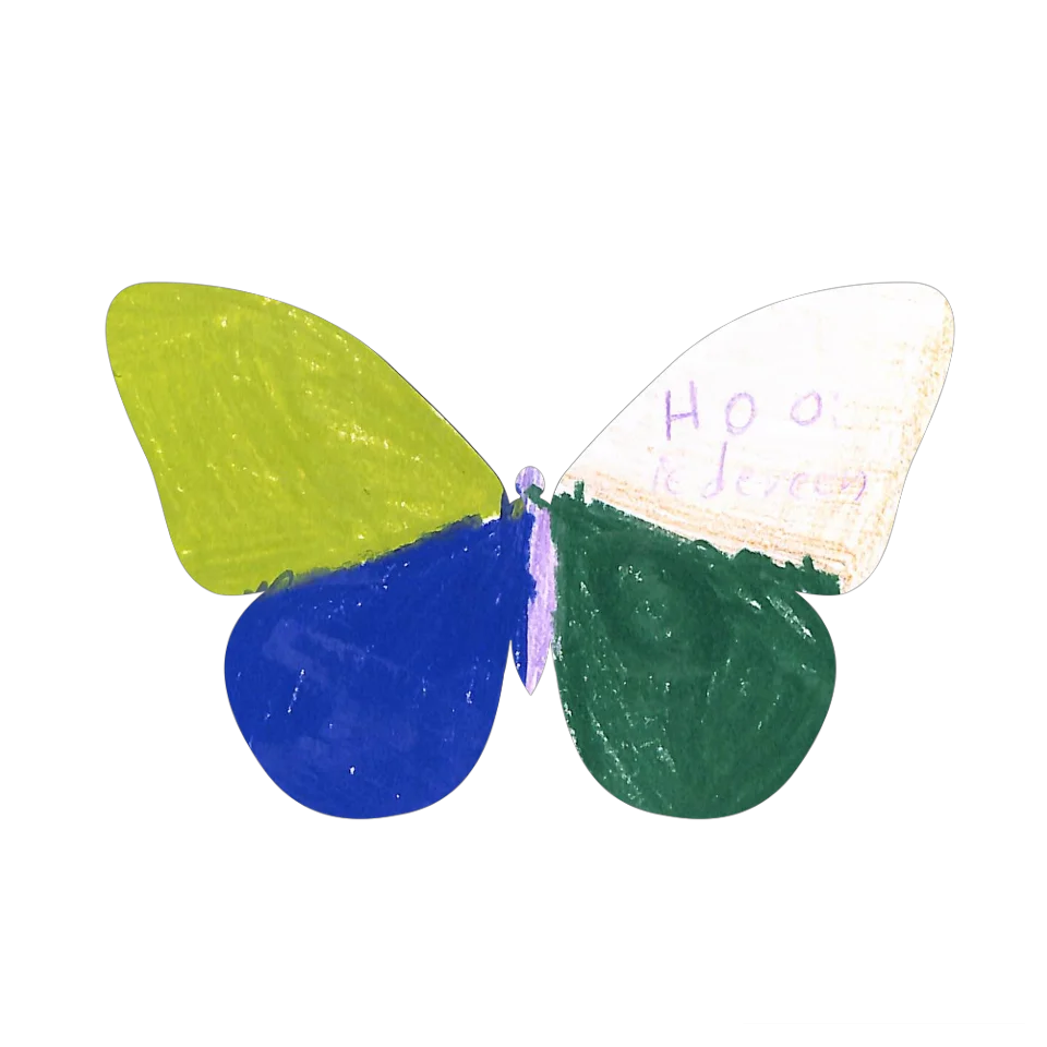 Original Butterfly Image