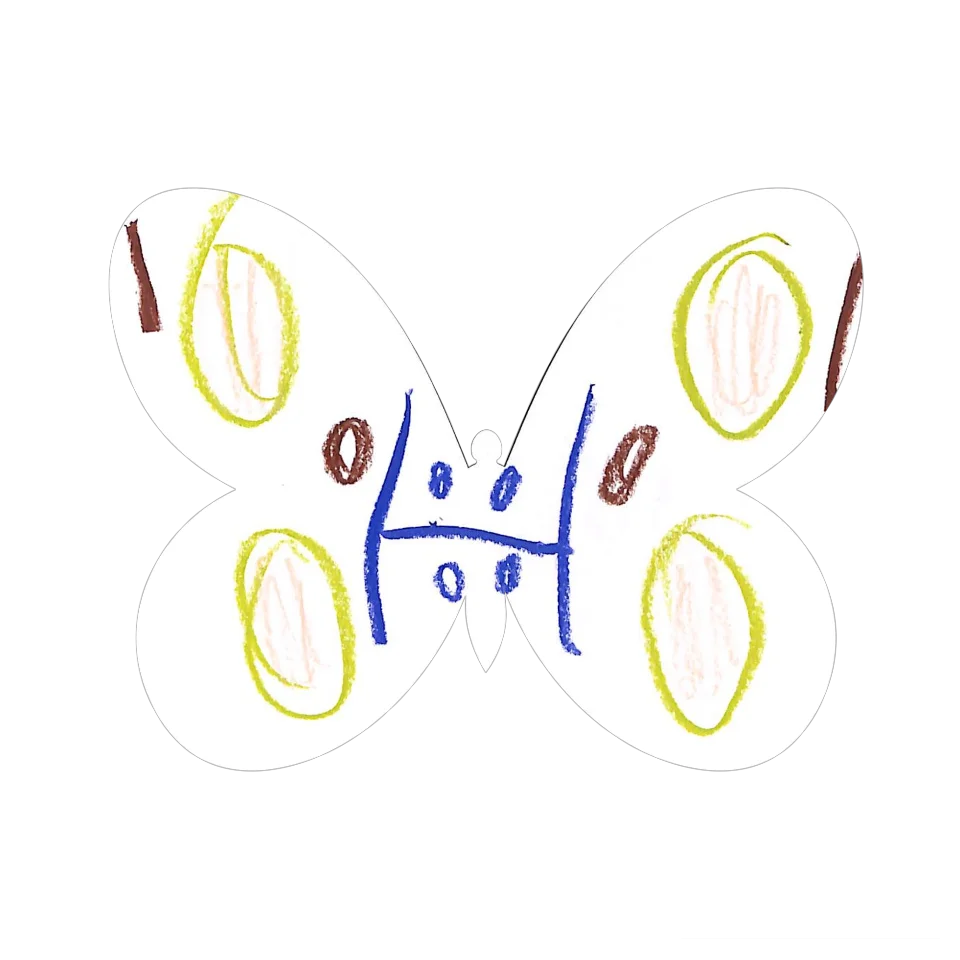 Original Butterfly Image