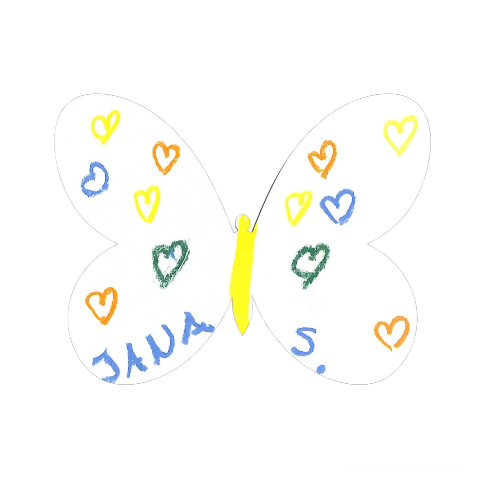 Original Butterfly Image