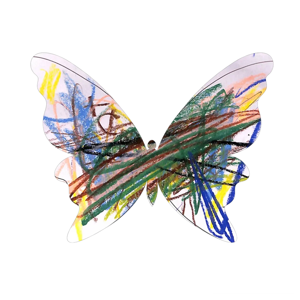 Original Butterfly Image