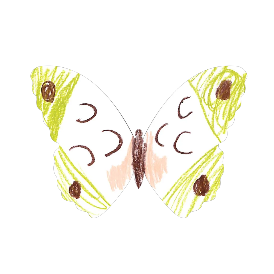 Original Butterfly Image