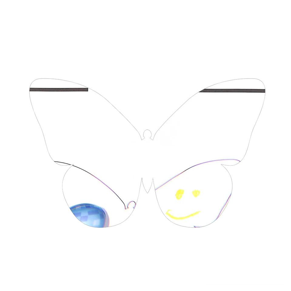 Original Butterfly Image