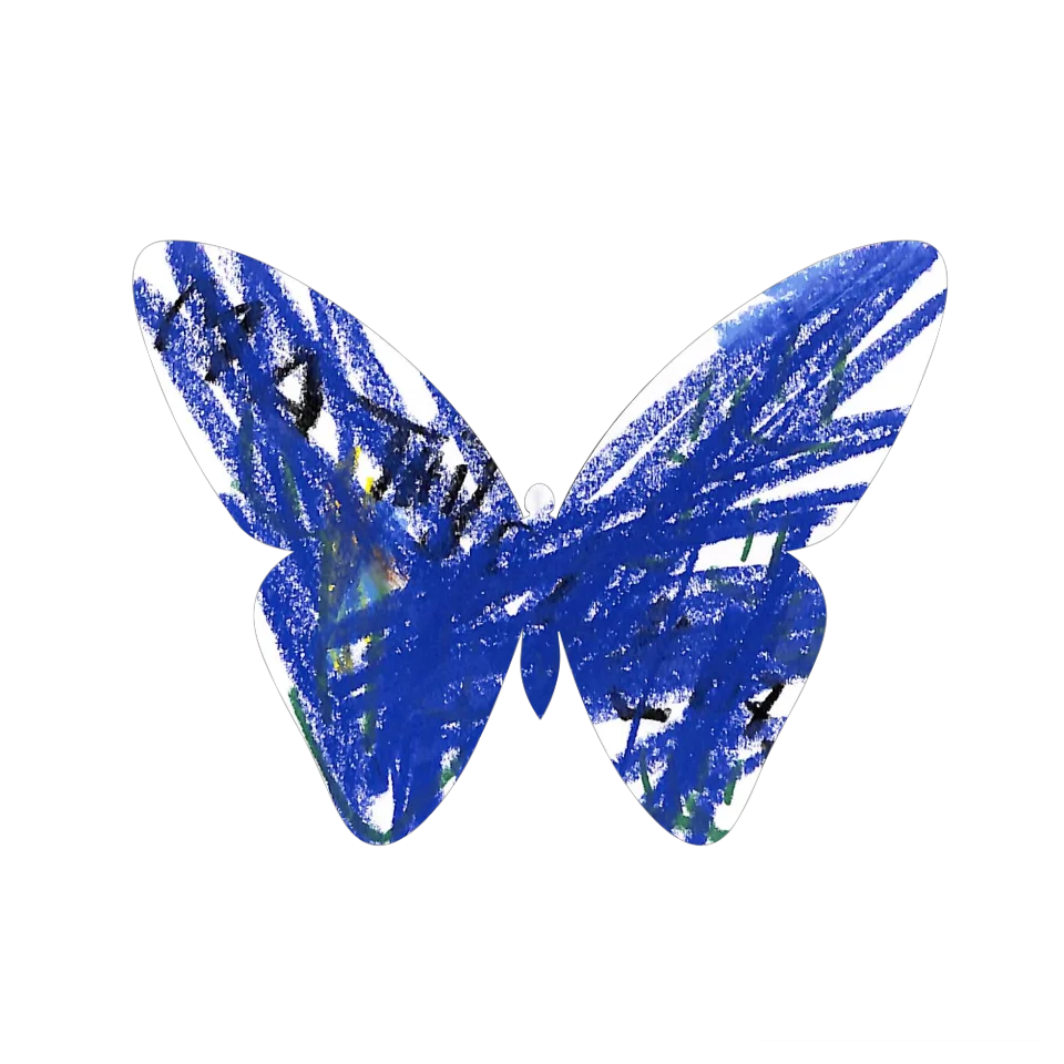 Original Butterfly Image