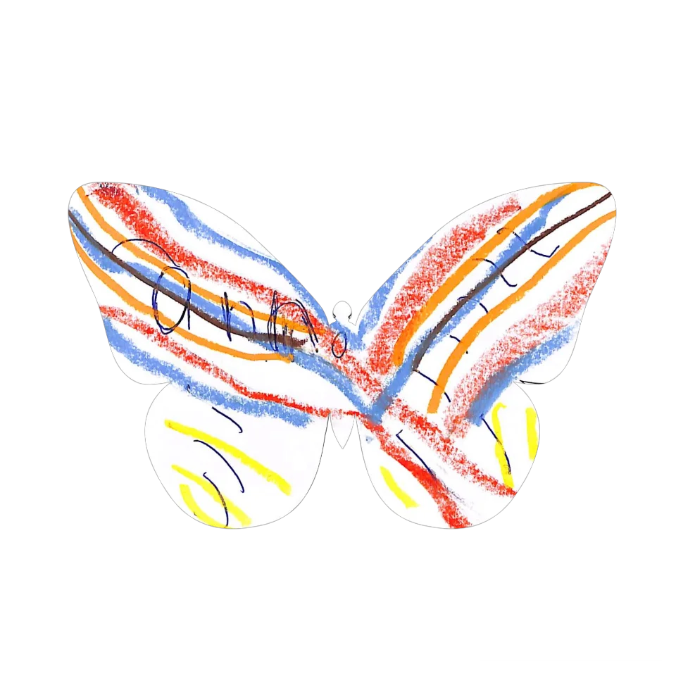 Original Butterfly Image