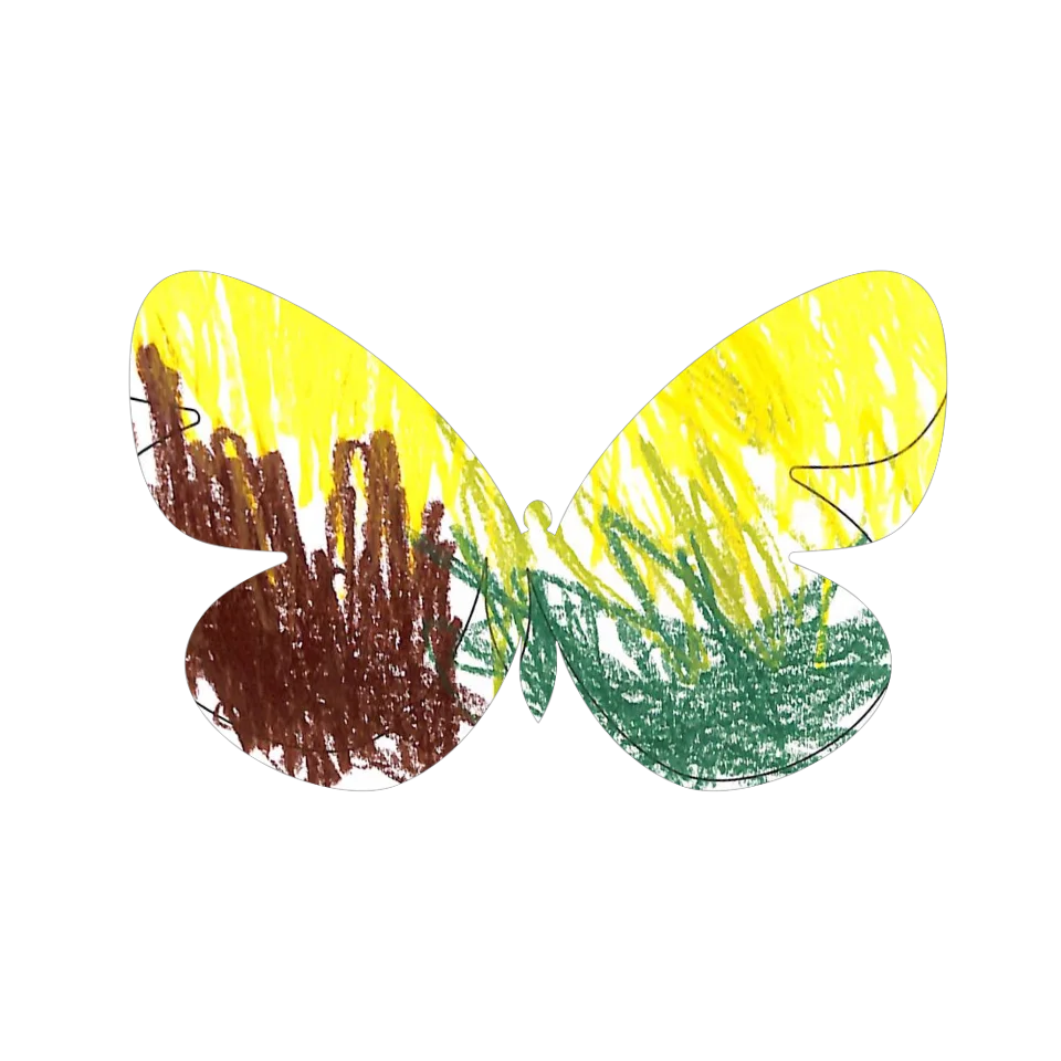 Original Butterfly Image