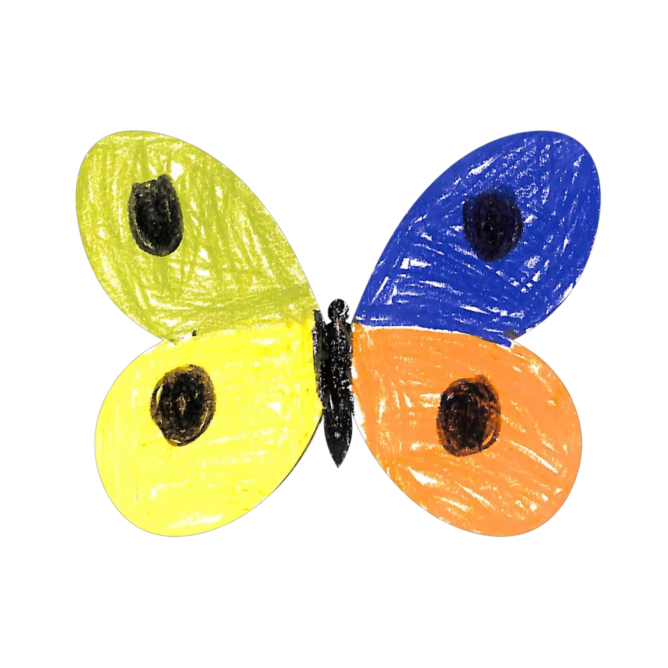 Original Butterfly Image