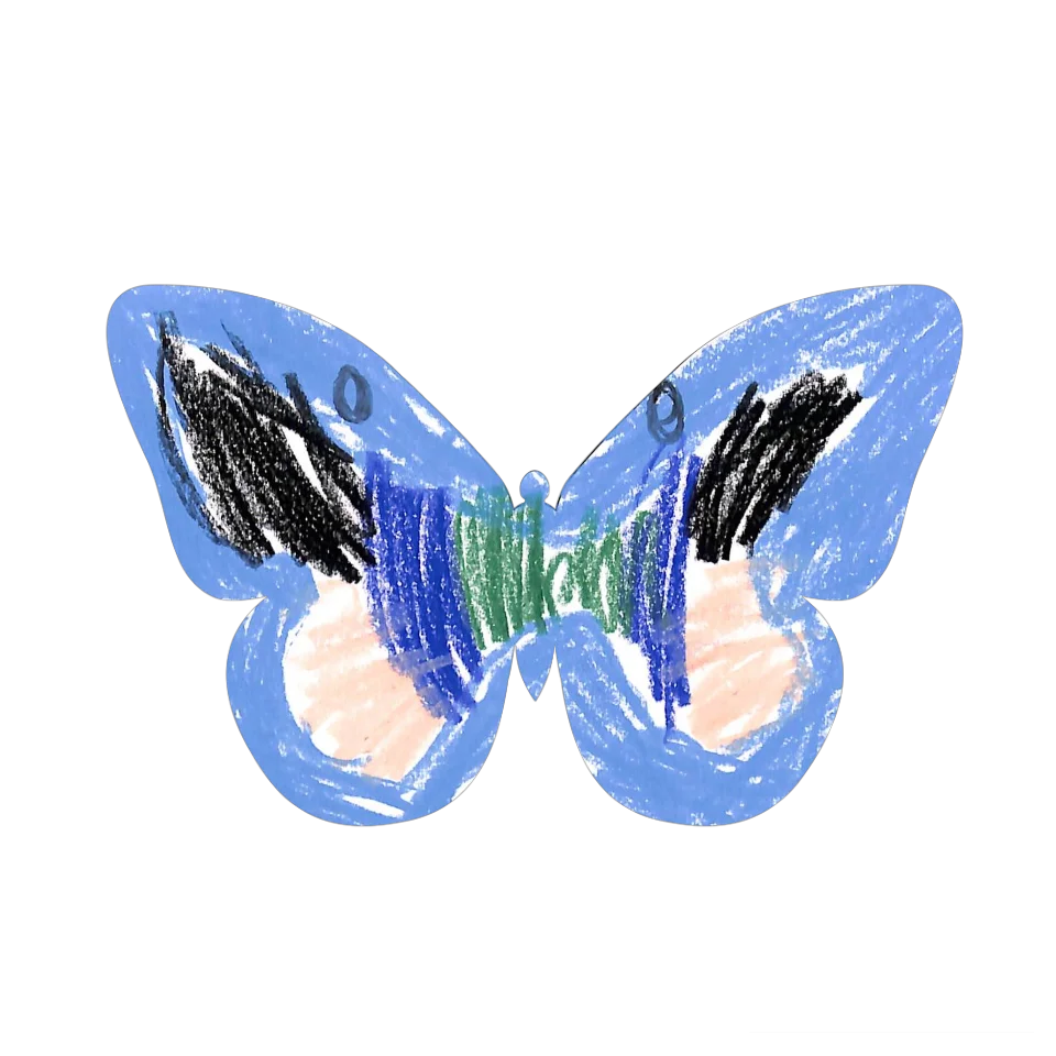 Original Butterfly Image
