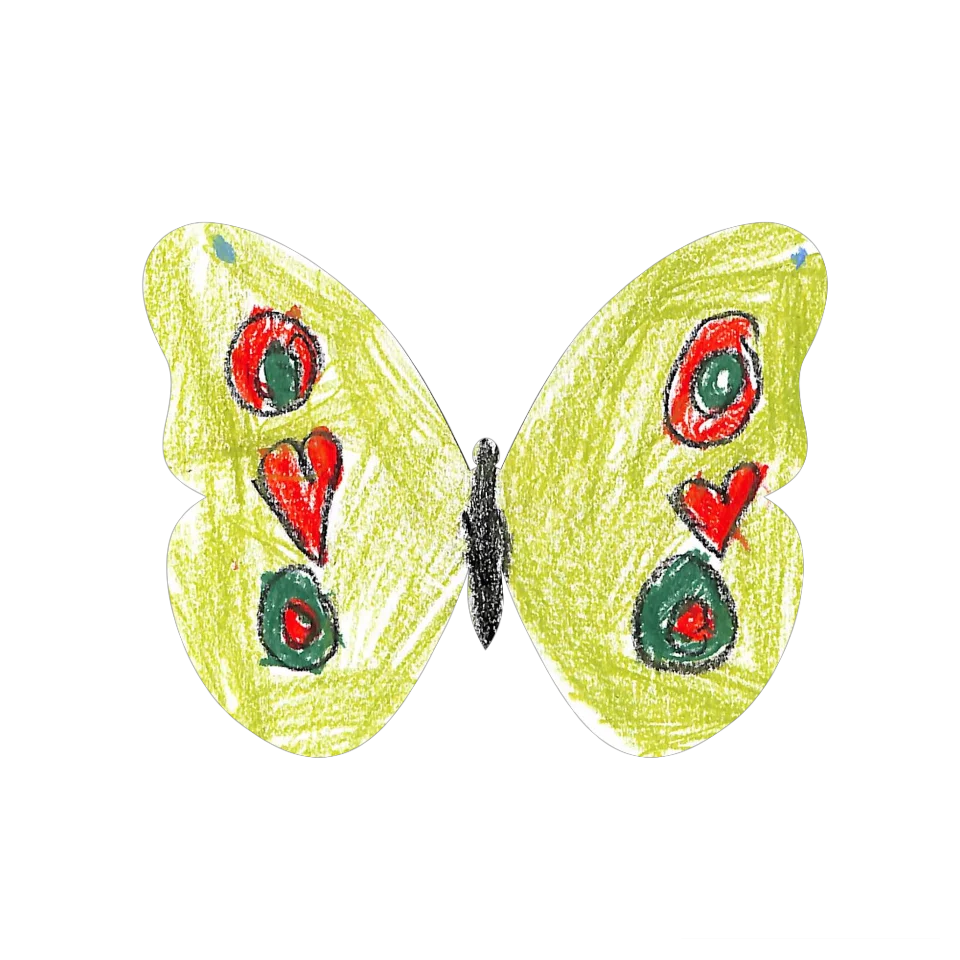 Original Butterfly Image