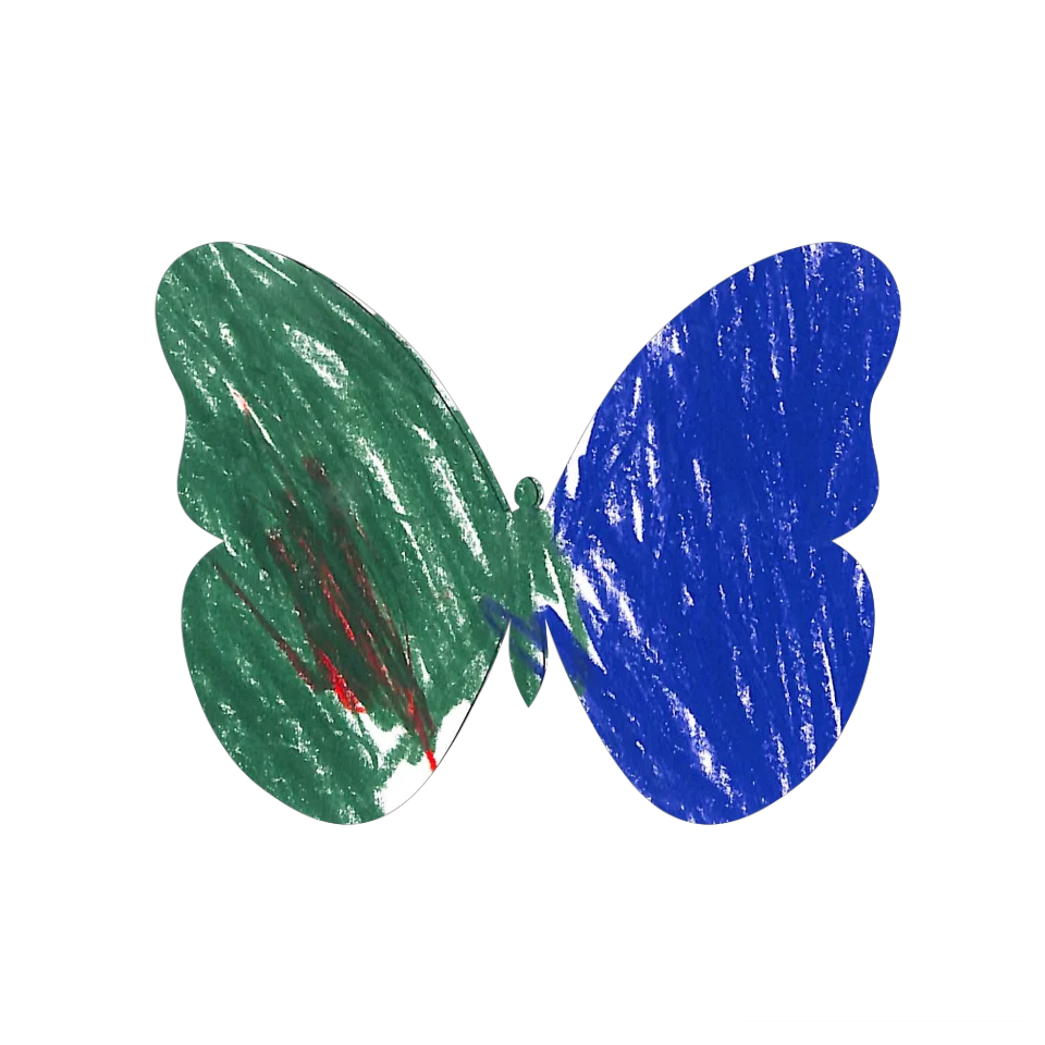Original Butterfly Image