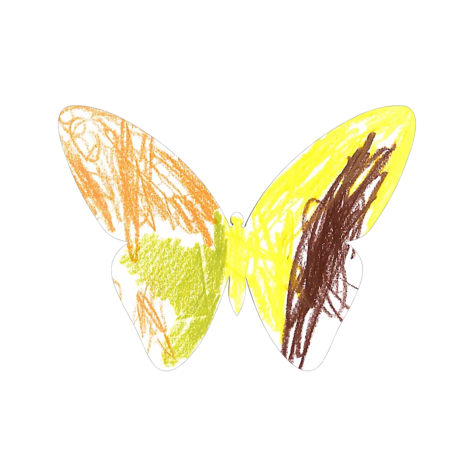 Original Butterfly Image