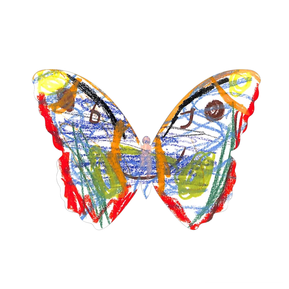 Original Butterfly Image