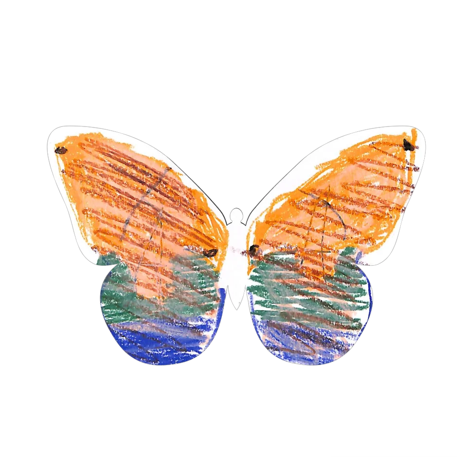 Original Butterfly Image
