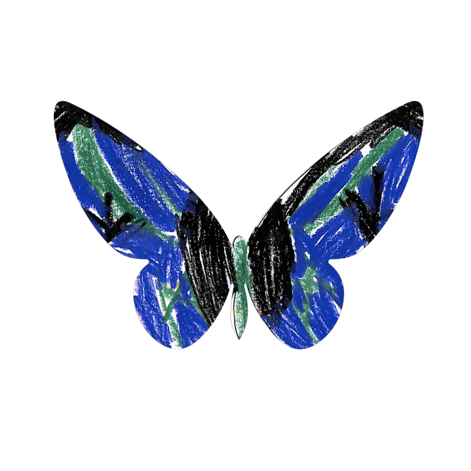 Original Butterfly Image