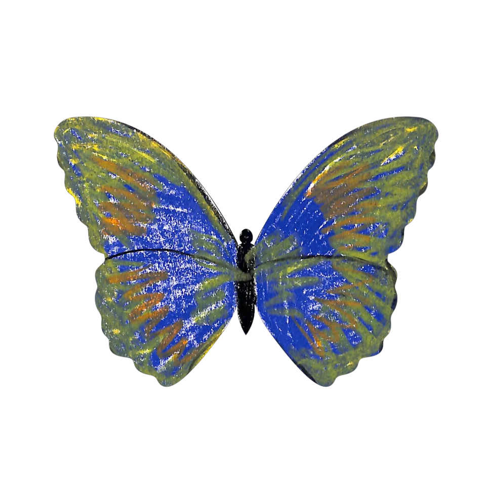 Original Butterfly Image