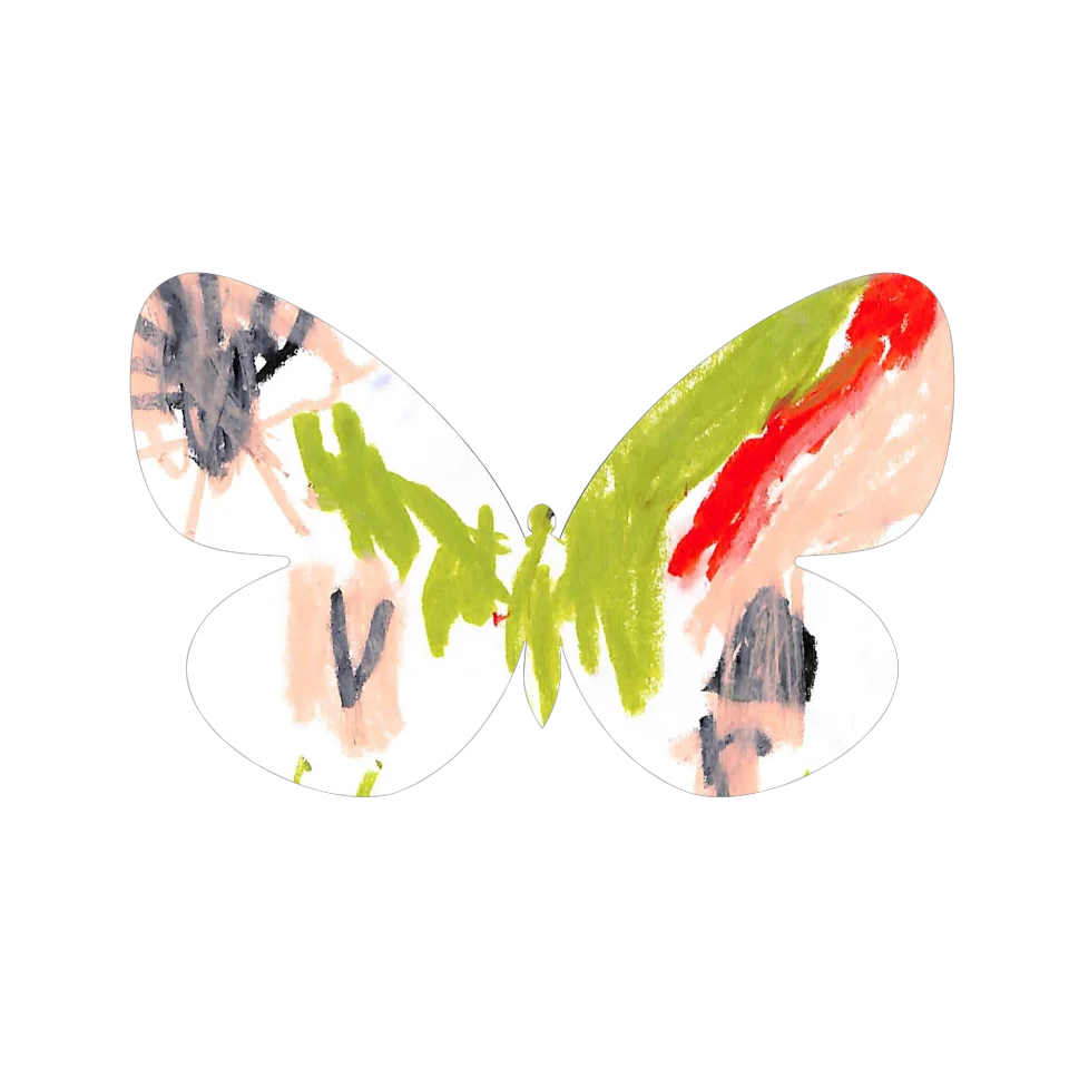 Original Butterfly Image