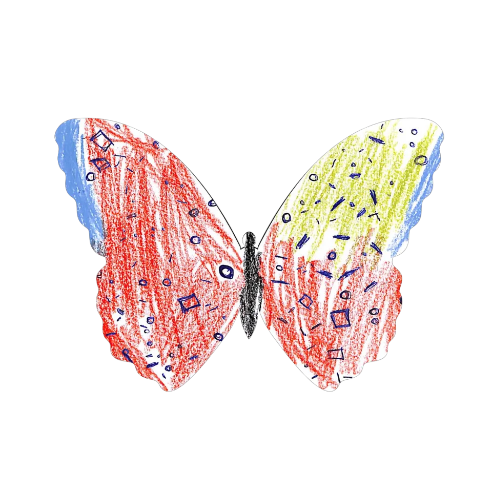 Original Butterfly Image