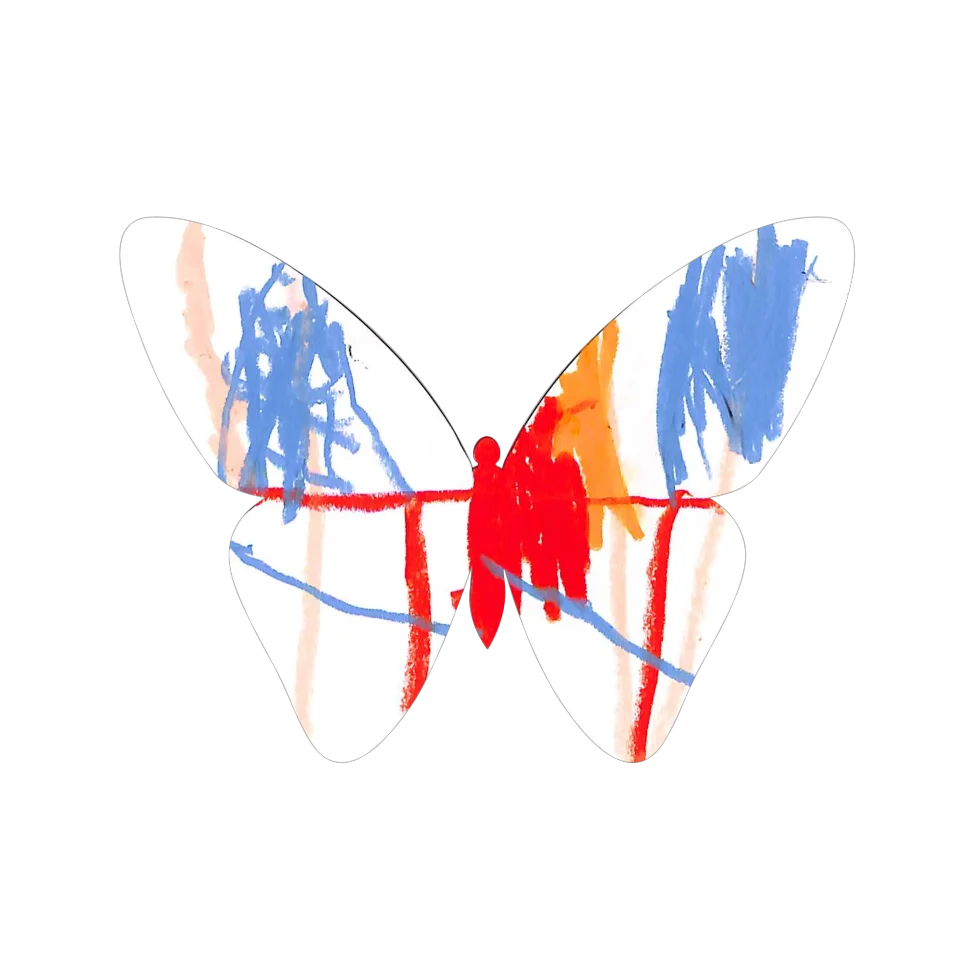 Original Butterfly Image