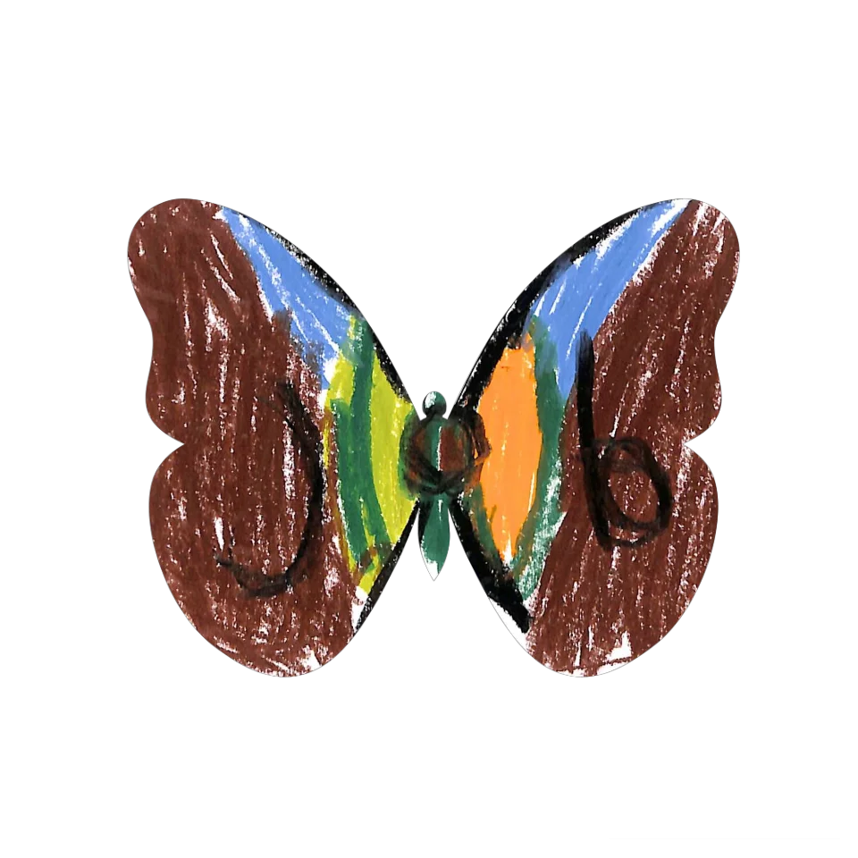 Original Butterfly Image