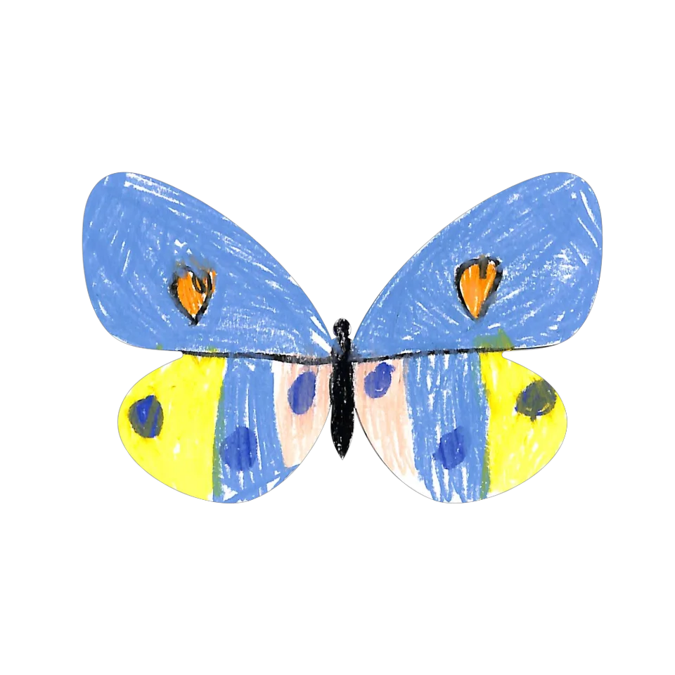 Original Butterfly Image