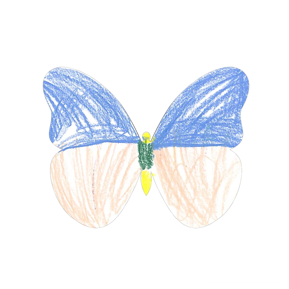 Original Butterfly Image
