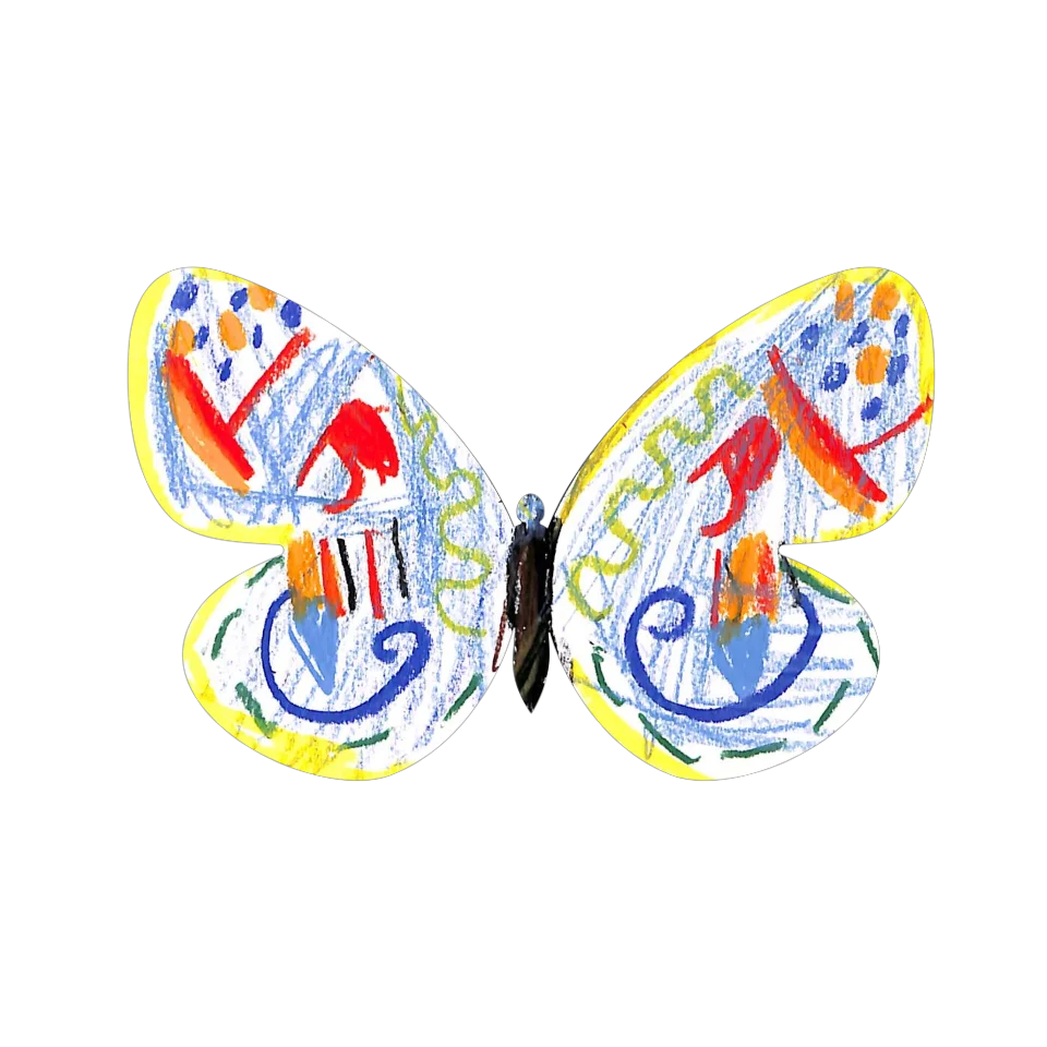 Original Butterfly Image