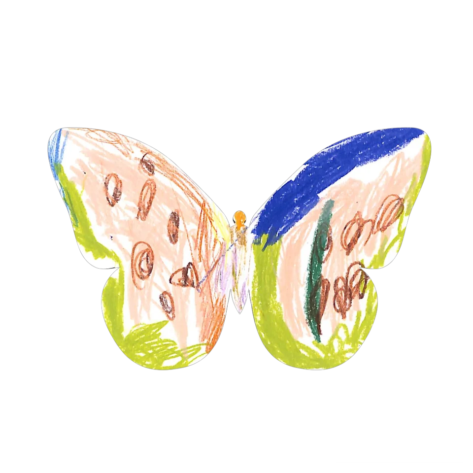Original Butterfly Image