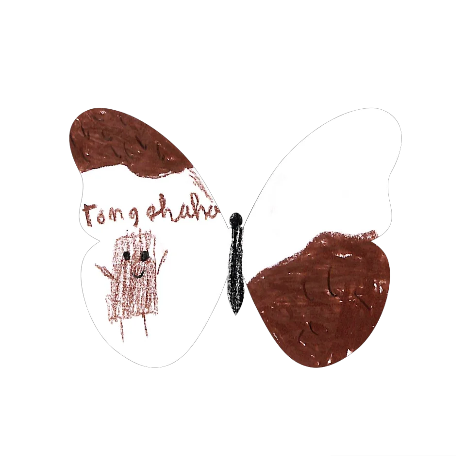 Original Butterfly Image