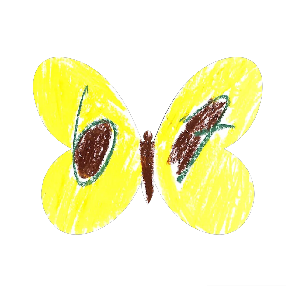 Original Butterfly Image