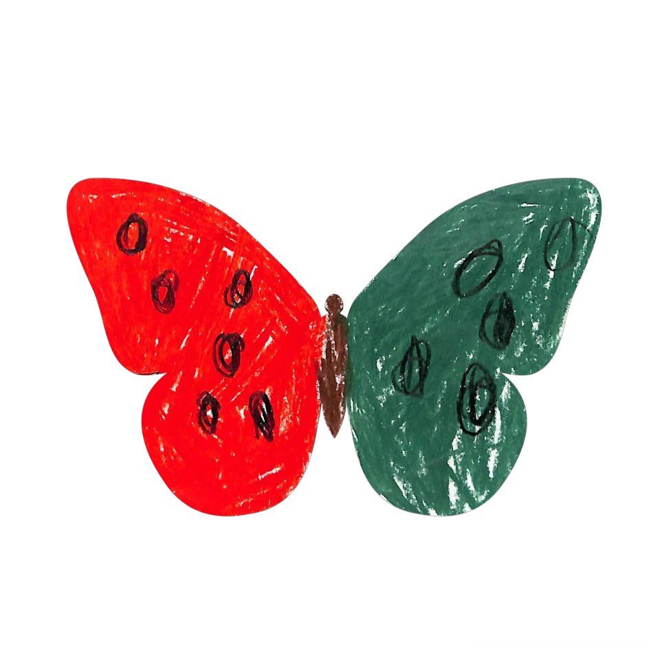 Original Butterfly Image