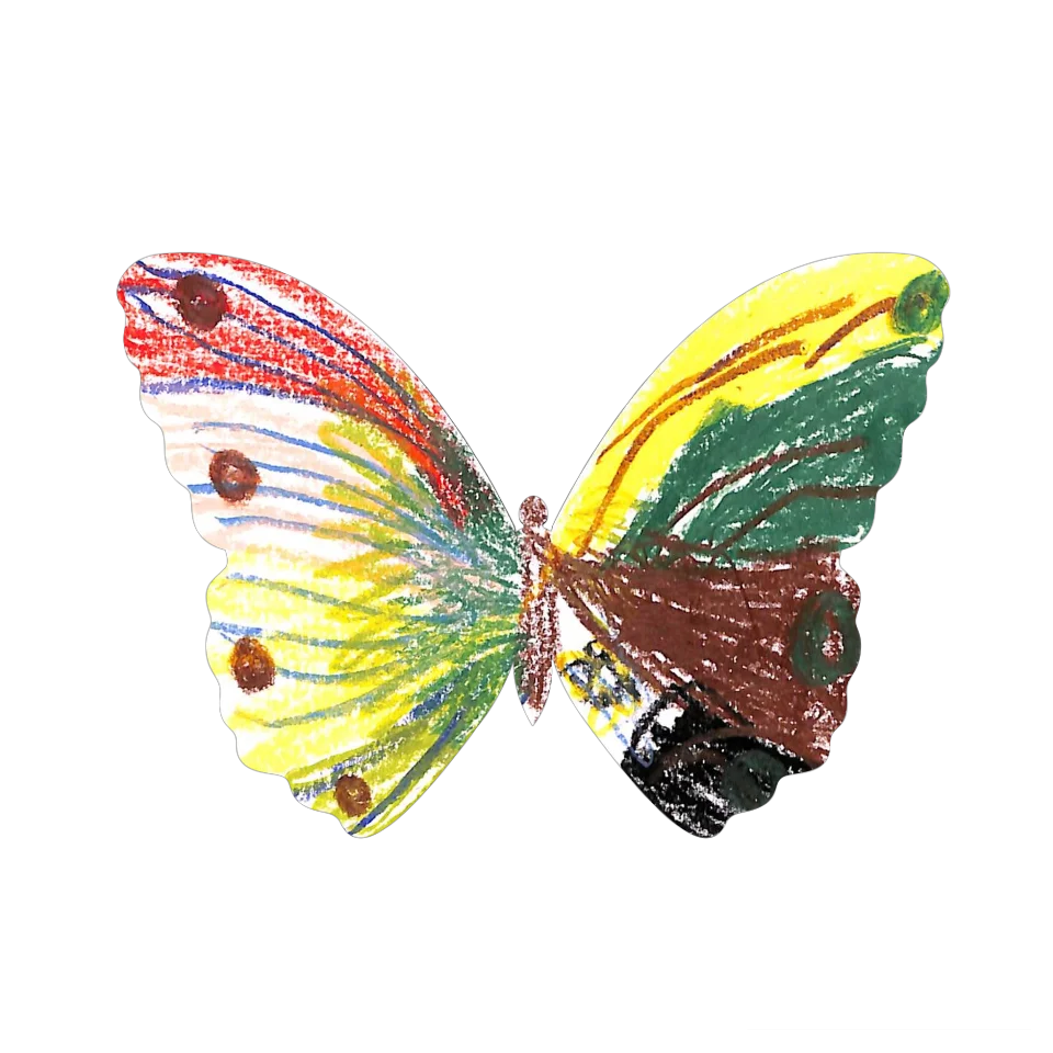 Original Butterfly Image