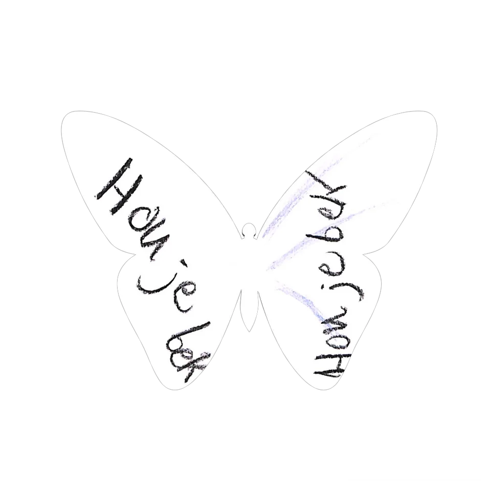 Original Butterfly Image