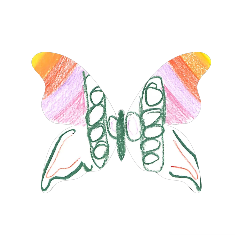 Original Butterfly Image