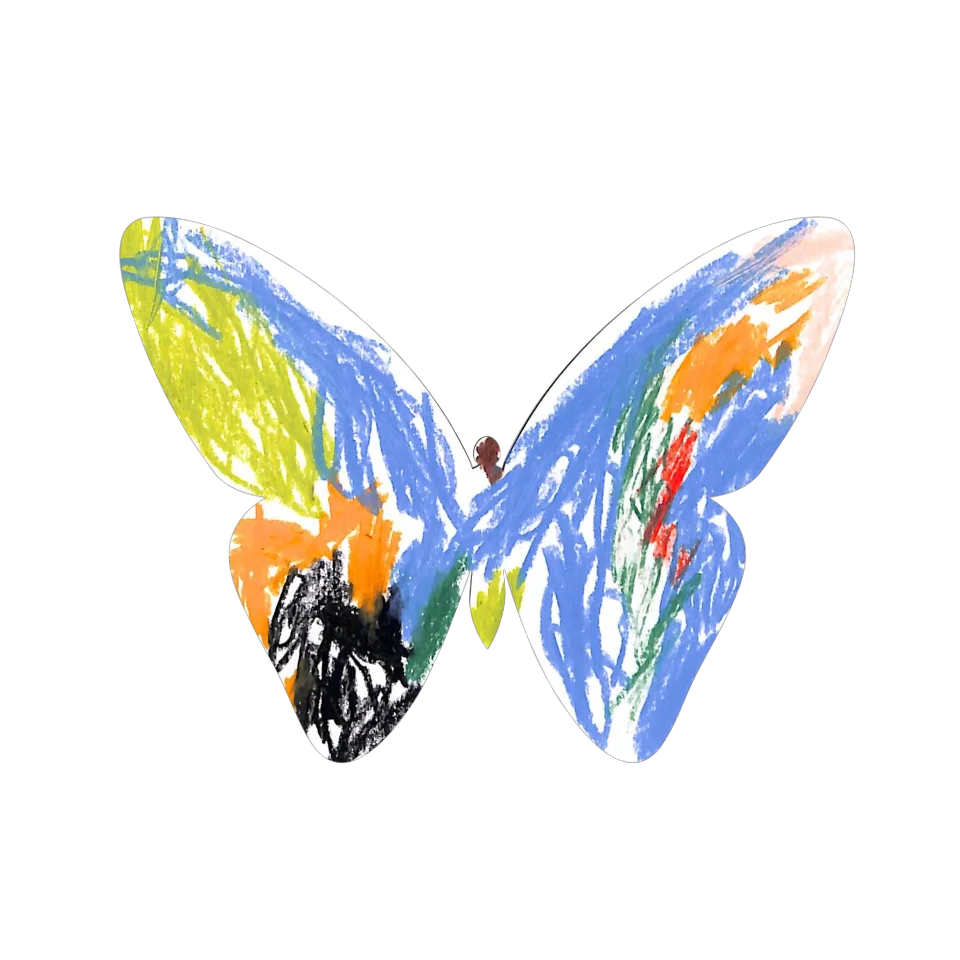 Original Butterfly Image