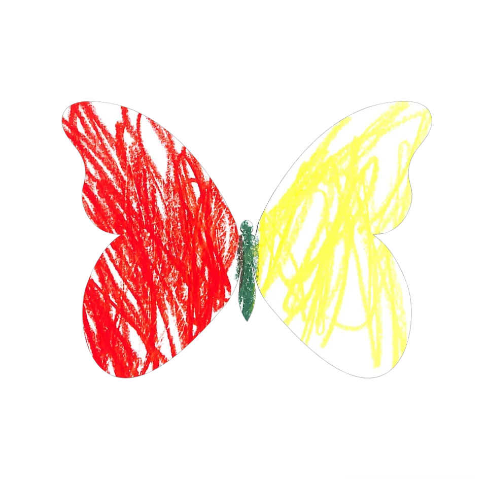 Original Butterfly Image
