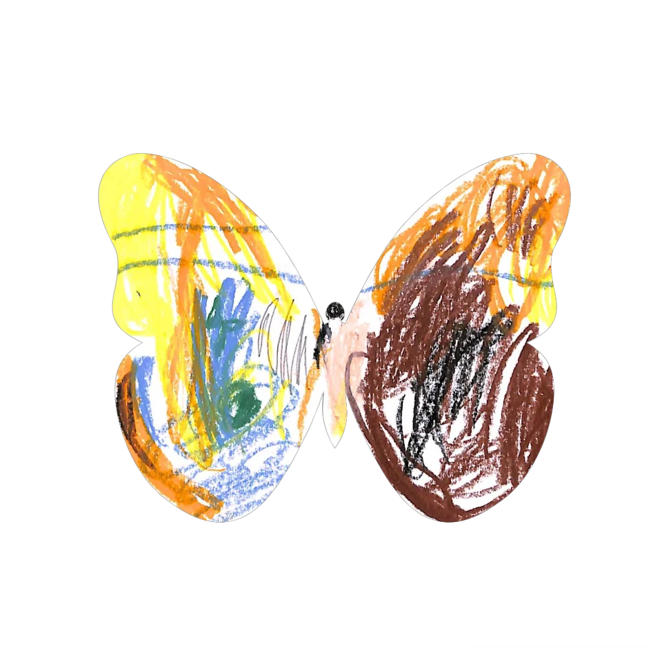 Original Butterfly Image